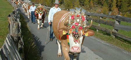 Eventi nella Val Pusteria