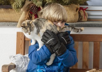 Suedtirol, Roter Hahn, Ferien auf dem Bauernhof, Stoffnerhof, Welsberg-Taisten, Wiesen 18, Familie Bachmann, Winter, Schnee, Februar 2017,