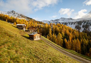 Herbst ©TV Gsieser Tal_Kamilla Photography (5)