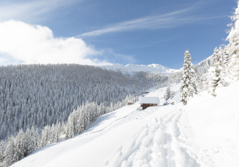 Landschaft Winter ©TV Gsieser Tal_Kamilla Photography (4)